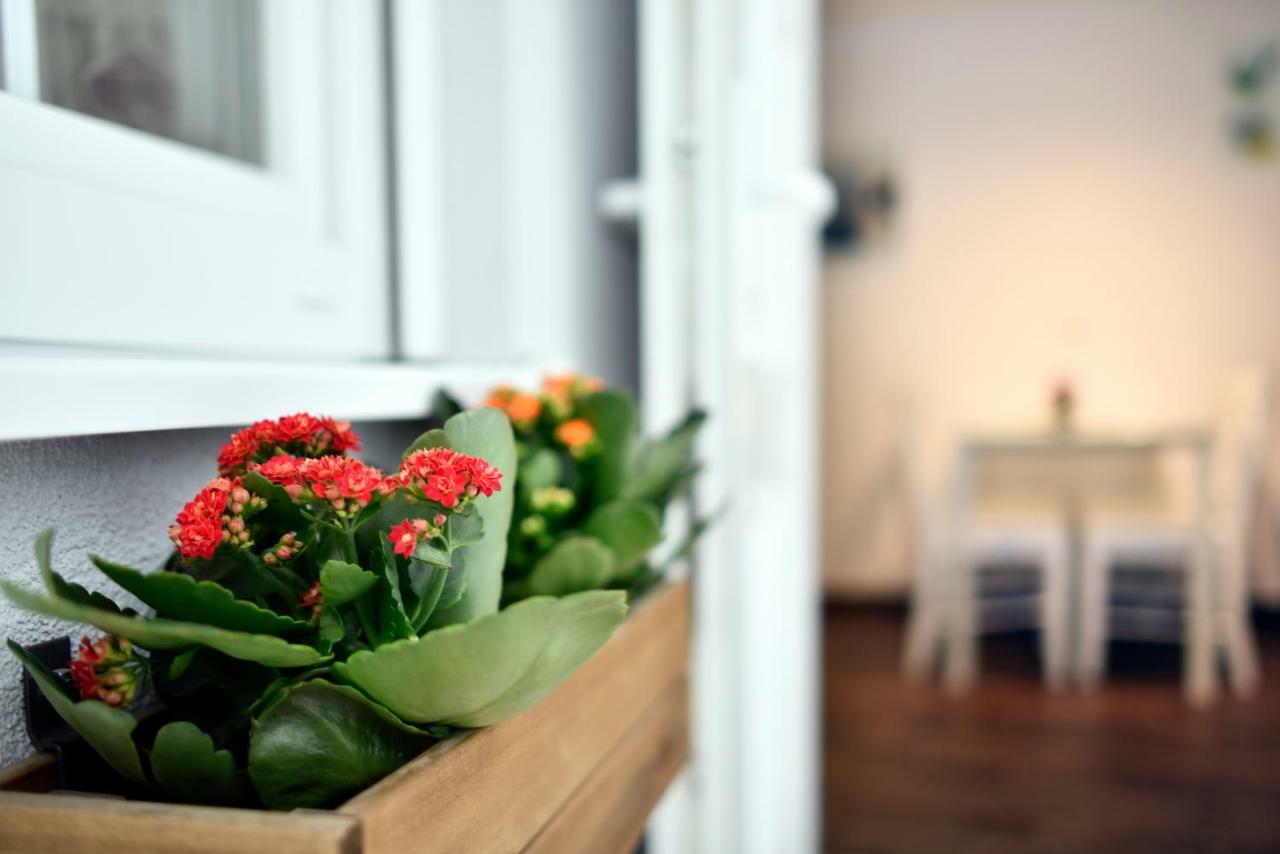 Hostel Temza Zagreb Ngoại thất bức ảnh
